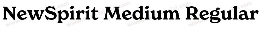NewSpirit Medium Regular字体转换